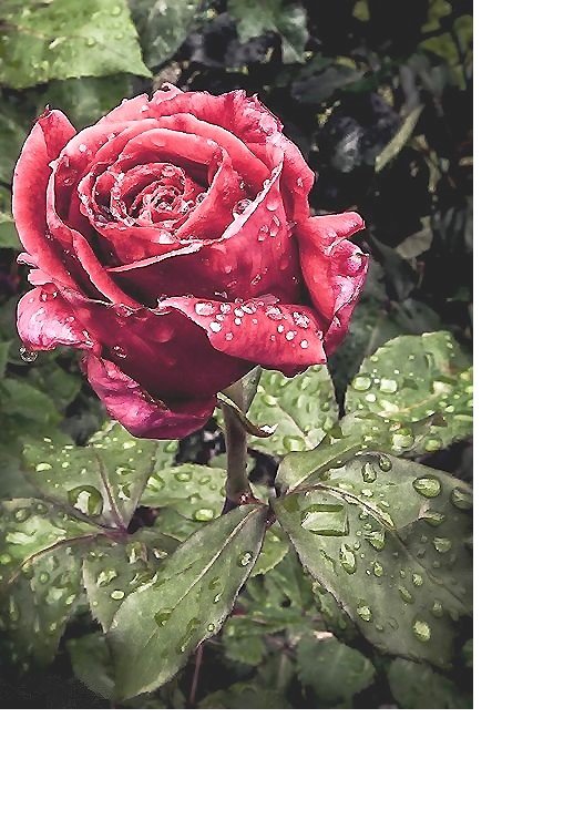 №2126870 - оригинал