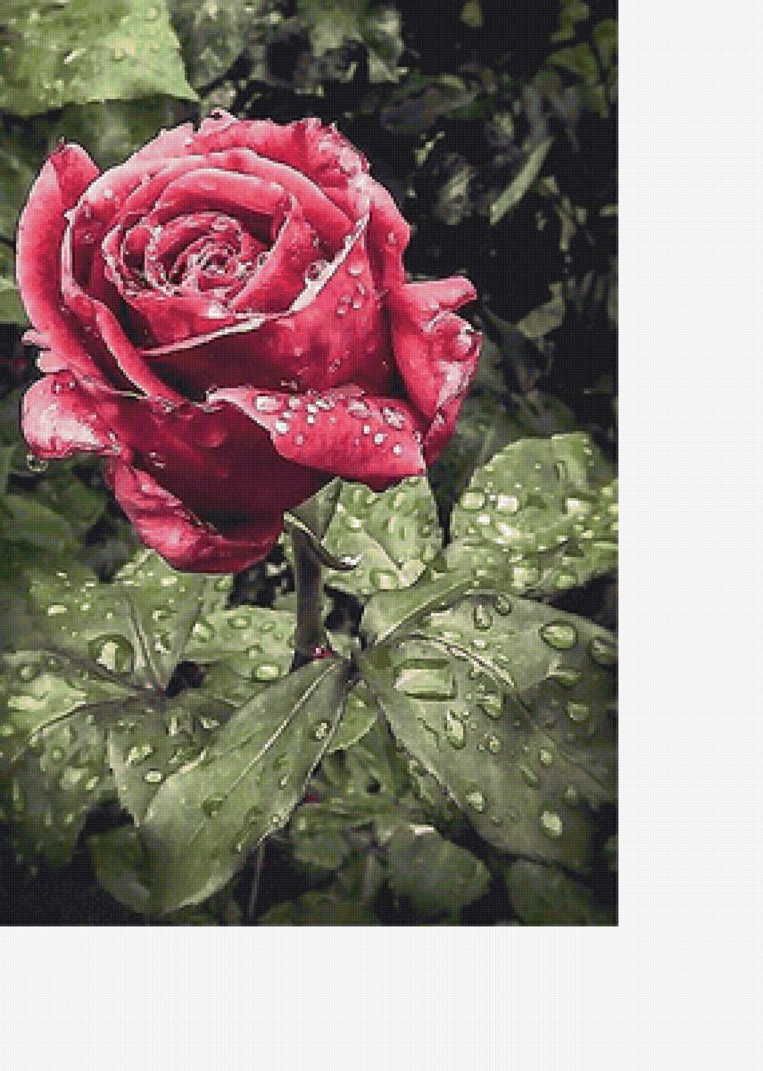 №2126870 - предпросмотр