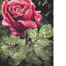 Схема вышивки «№2126870»