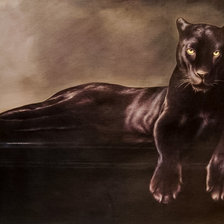 Схема вышивки «Cougar.»