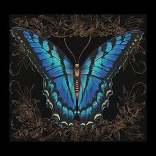 Схема вышивки «Бабочка»