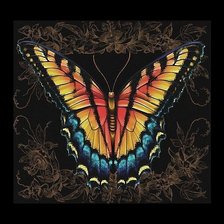 Схема вышивки «Бабочка»