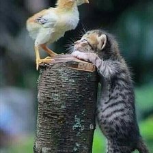 Схема вышивки «№2127260»