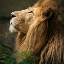 Схема вышивки «№2127267»