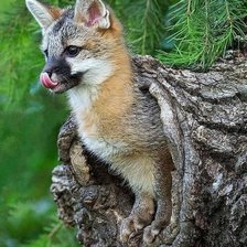 Схема вышивки «№2127270»