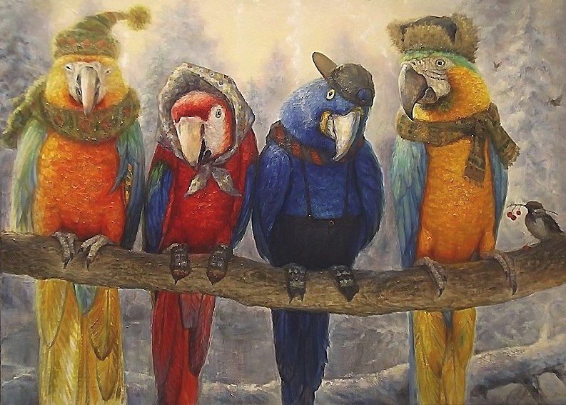 попугаи - зима, птицы, шапки, попугаи - оригинал
