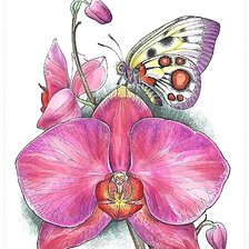 Схема вышивки «акварель»