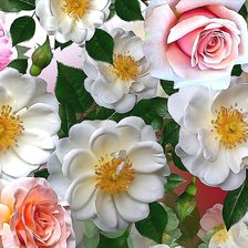 Схема вышивки «№2127602»