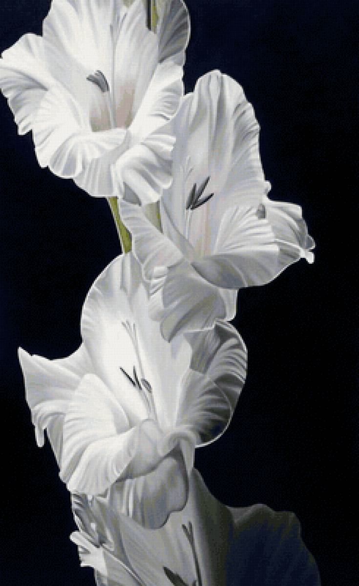 цветы - предпросмотр