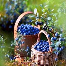 Схема вышивки «№2127830»