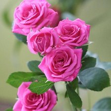 Схема вышивки «№2127839»