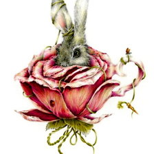 Схема вышивки «ЗАЙЧИК В РОЗЕ»