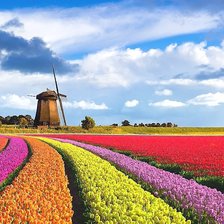 Схема вышивки «№2127983»