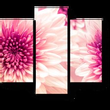 Схема вышивки «Хризантемы»