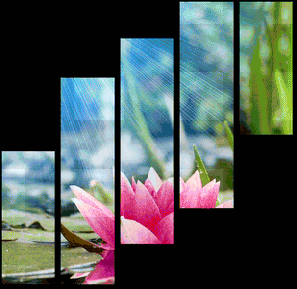 Цветы - предпросмотр