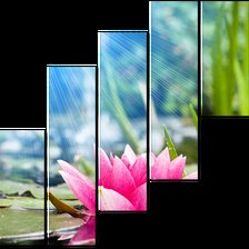 Схема вышивки «Цветы»