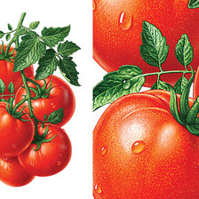 Схема вышивки «Фрукты»