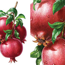 Схема вышивки «Фрукты»