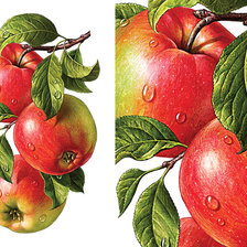 Схема вышивки «Фрукты»