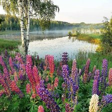 Схема вышивки «№2128201»