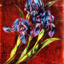 Схема вышивки «Ирисы Катерины Билокур»