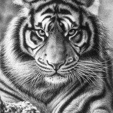 Схема вышивки «№2128364»