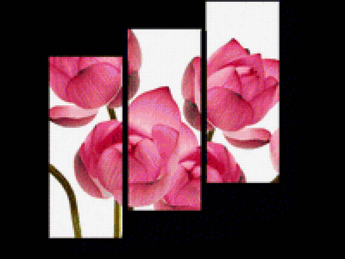 Цветы - предпросмотр