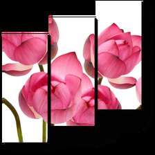 Схема вышивки «Цветы»