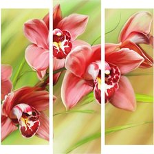 Схема вышивки «Цветы»