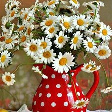 Схема вышивки «ромашки»