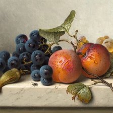 Схема вышивки «Натюрморт. Emilie Preyer»