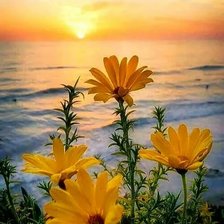 Схема вышивки «У самого синего моря»