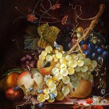 Натюрморт. Ян Ван Хейсум