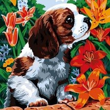 Схема вышивки «собака»