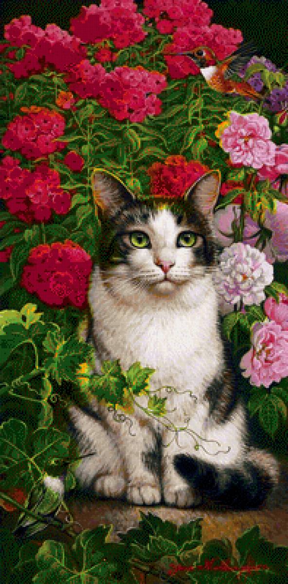 кисуля - предпросмотр