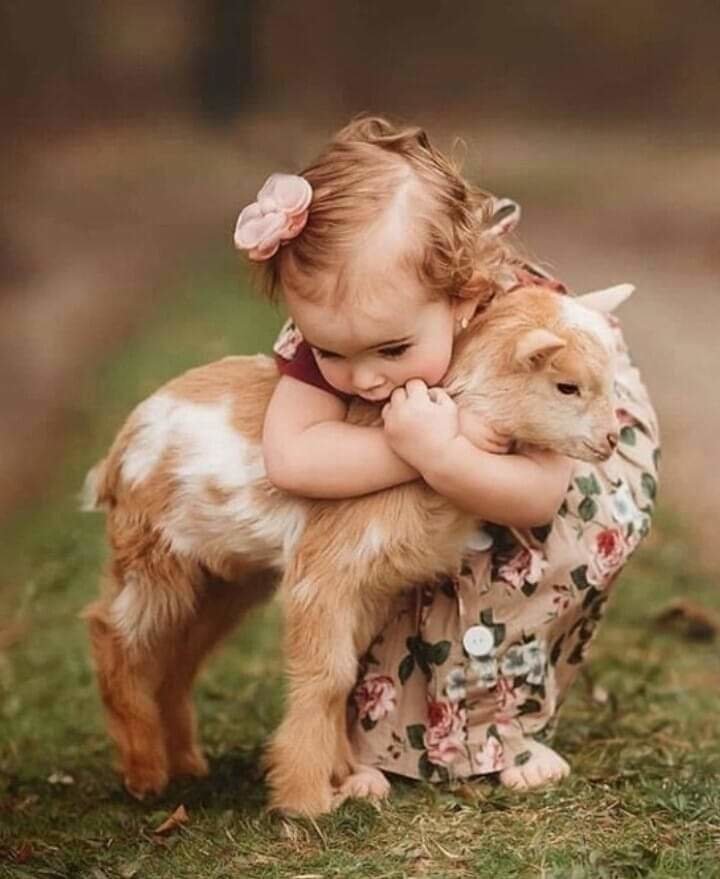 малыши - оригинал