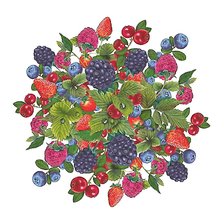 Схема вышивки «ягоды»