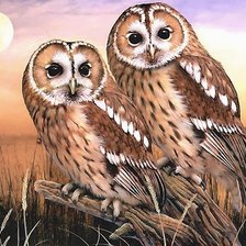 Схема вышивки «№2129617»