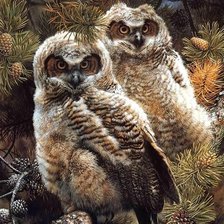 Схема вышивки «птицы»