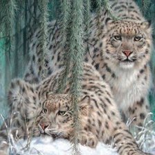 Схема вышивки «дикие»