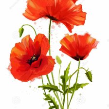 Схема вышивки «Букет маков»