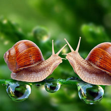 Схема вышивки «Улитки»