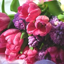 Схема вышивки «Тюльпаны»