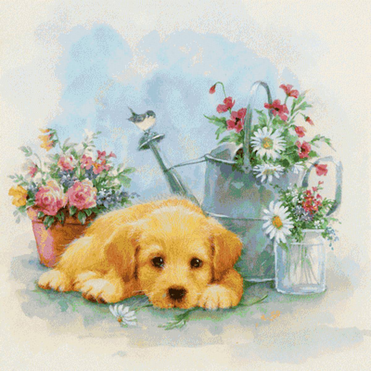 Щенок - животные, щенок - предпросмотр