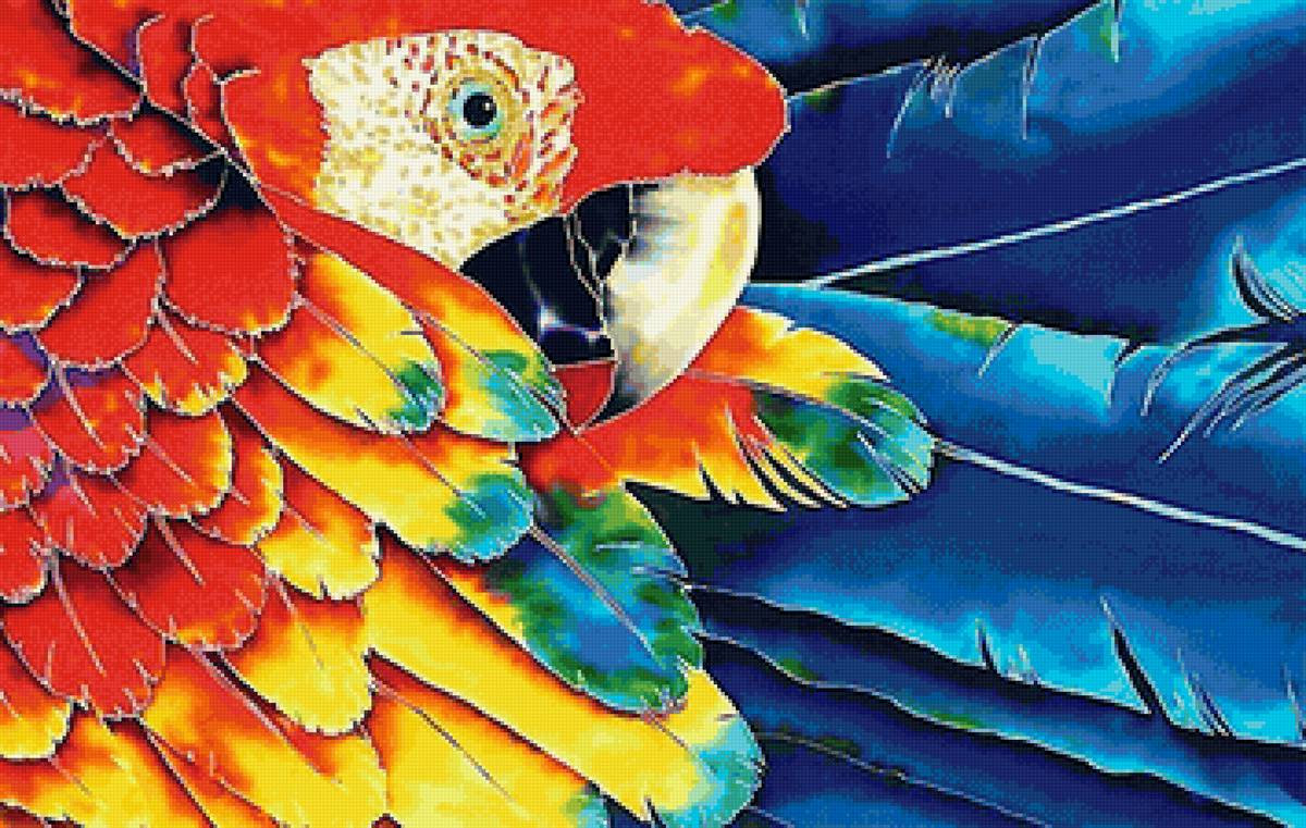 попугай - перья, попугай, клюв - предпросмотр