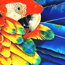 Схема вышивки «попугай»