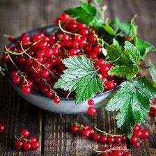 Схема вышивки «Красная смородина»