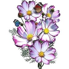 Схема вышивки «цветы»
