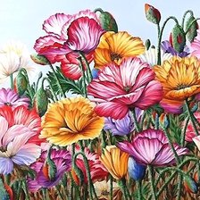 Схема вышивки «маки»