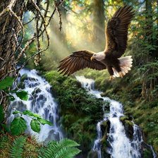 Схема вышивки «№2130631»